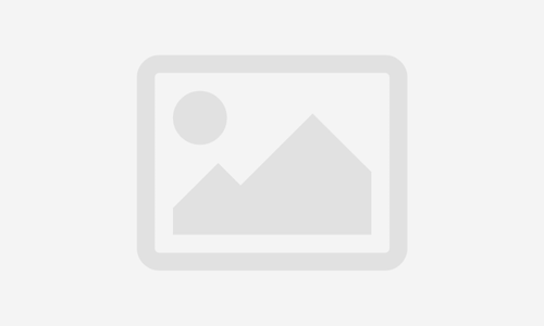 Critical and Analytical Thinking